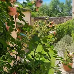 La Casa Di Lucapietro Dimora Storica * Σπολέτο